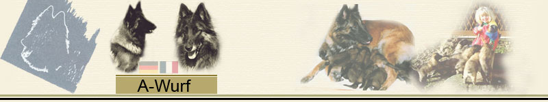 A_Wurf_Banner
