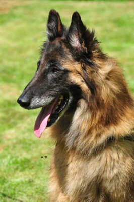Aidan_Web_1631